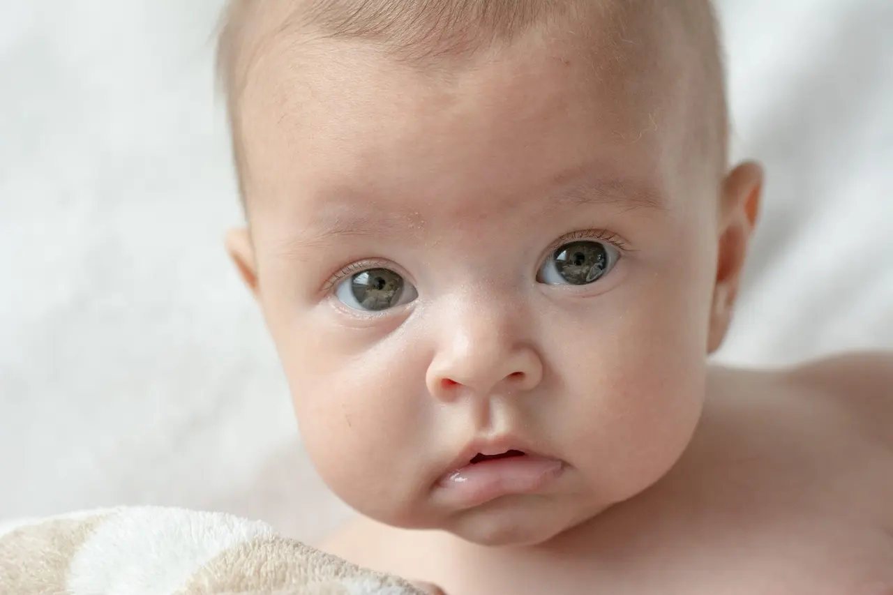 Zwangerschap/Baby, foto 1 van 3