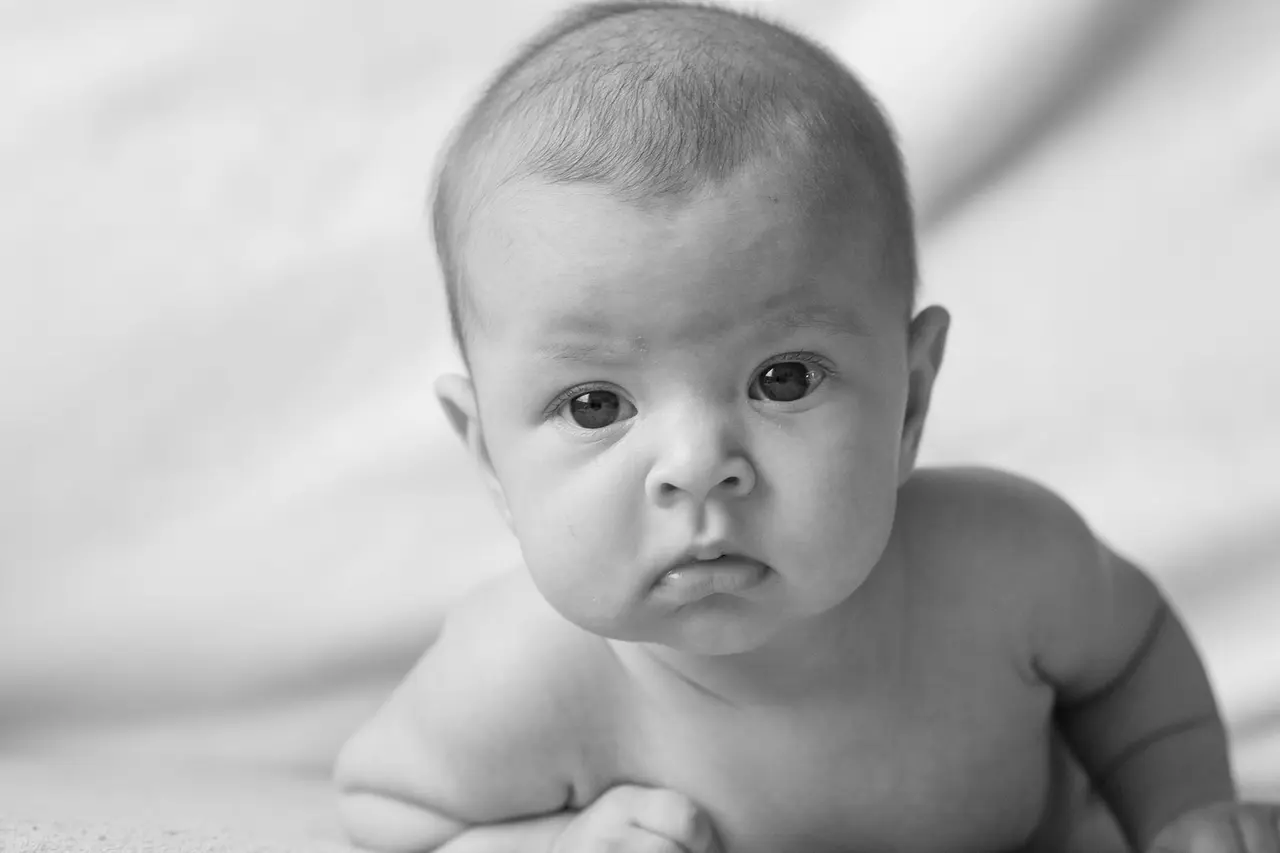 Zwangerschap/Baby, foto 3 van 3